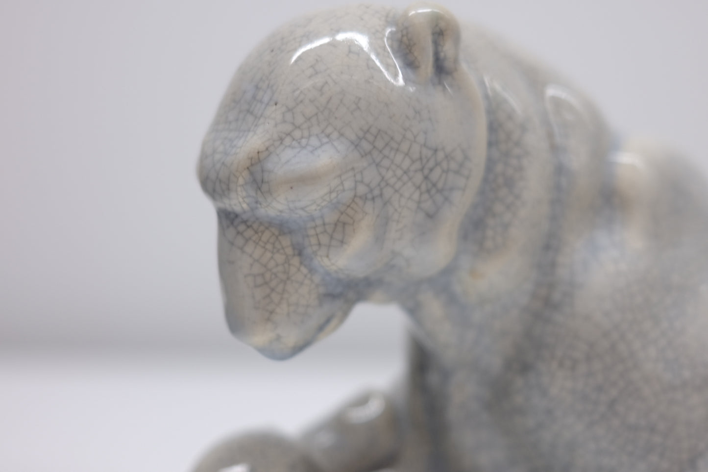 Josef Manuel polar bears