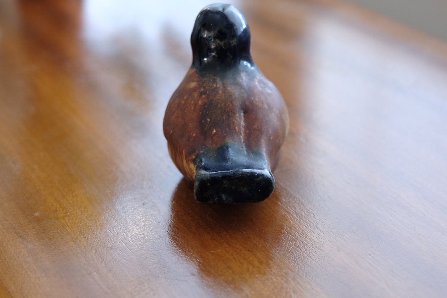 Bird - 79, Teemu Luoto