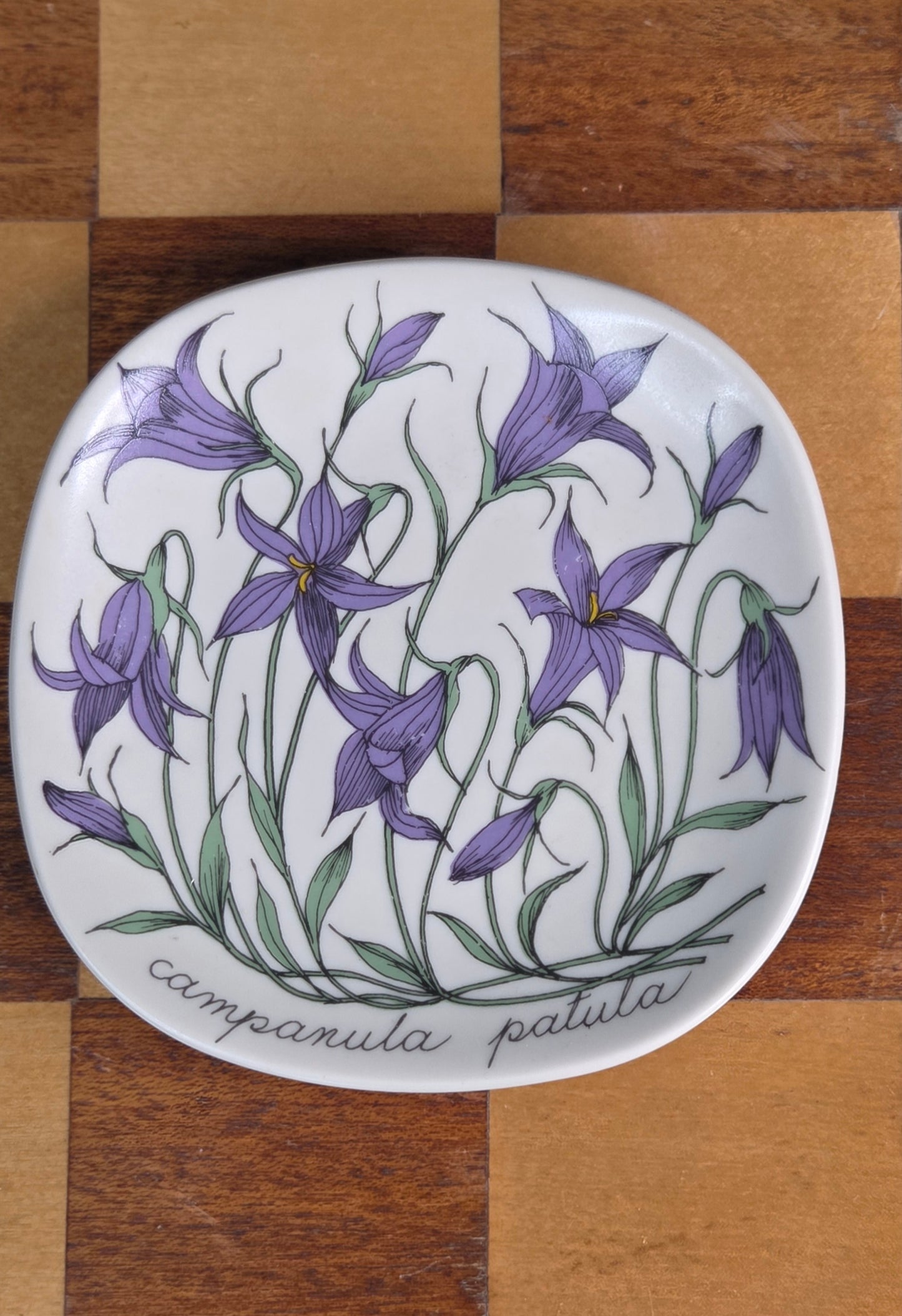 Arabia Botanica seinälautanen Harakankello