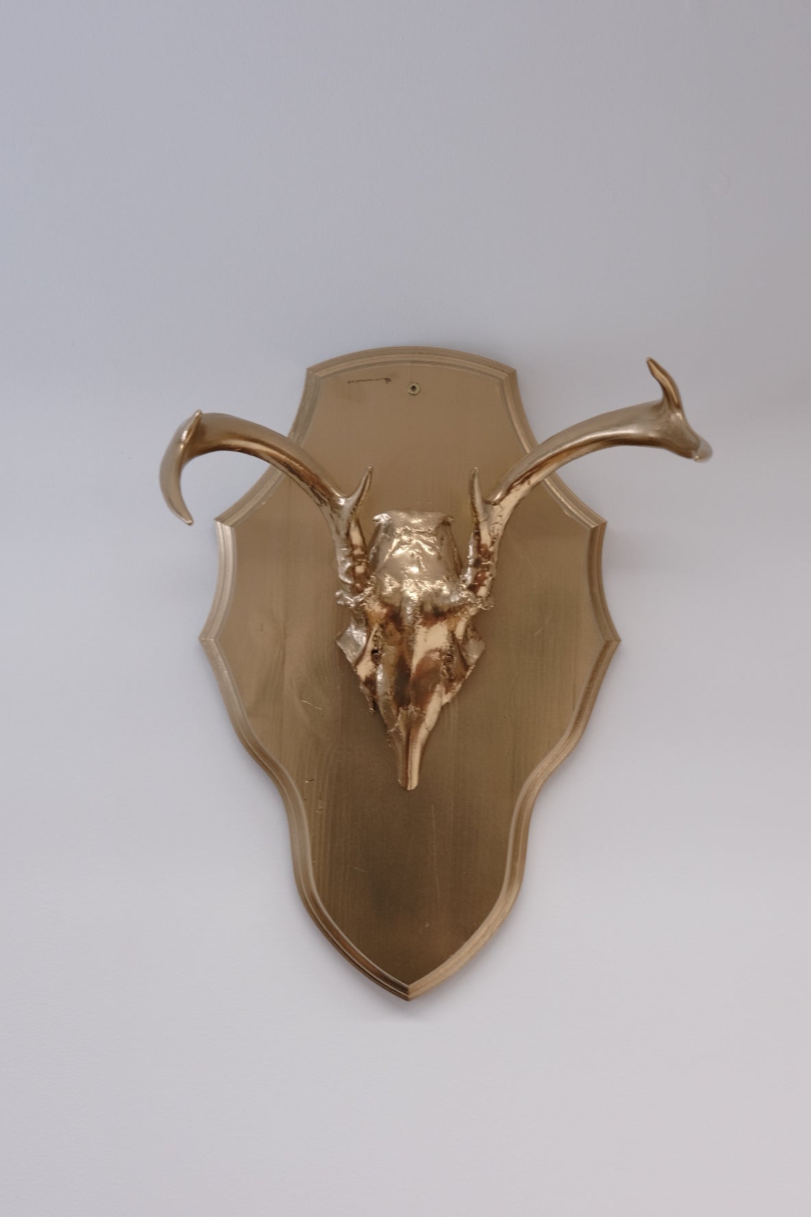 金箔の鹿の角のトロフィー – ユニークな目玉