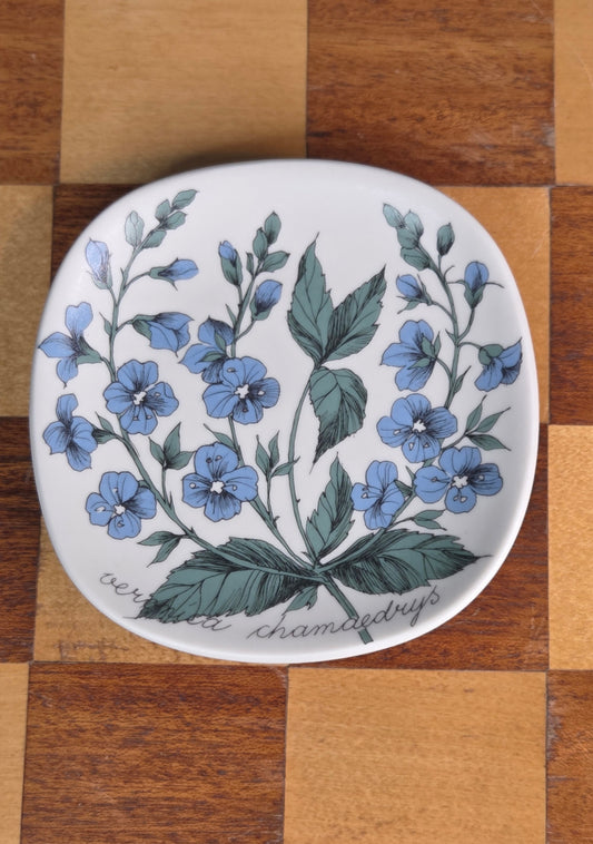 Arabia Botanica seinälautanen Nurmitädyke
