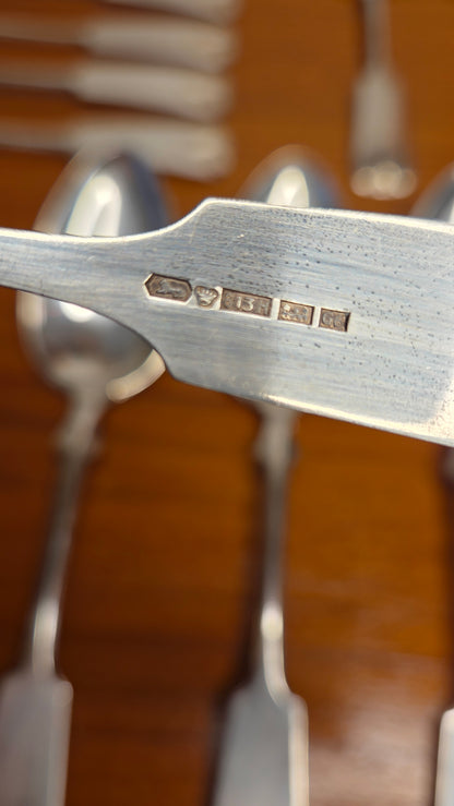 Kultakeskus Musla – aterinsetti (20 osaa)