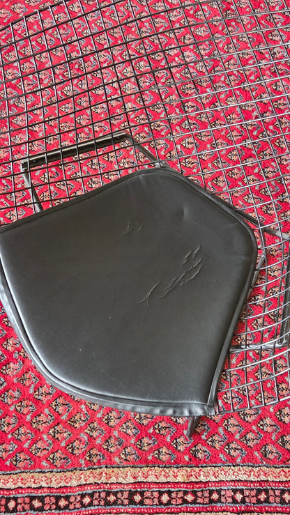 Harry Bertoia – Diamond Chair