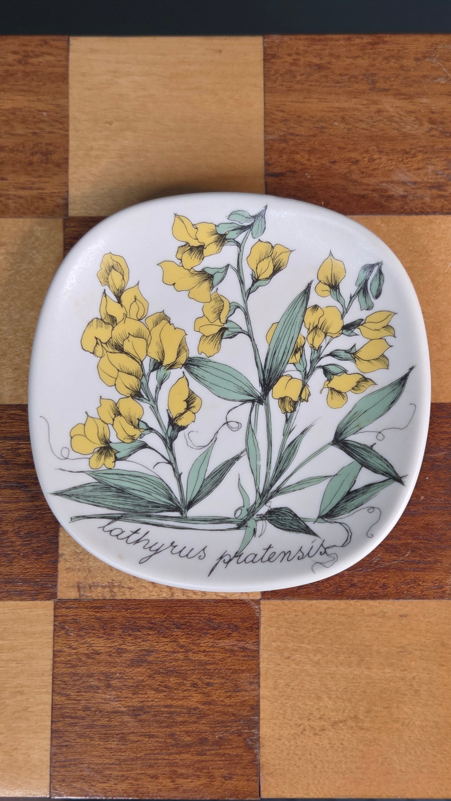 Arabia Botanica koristelautanen, Niittynätkelmä