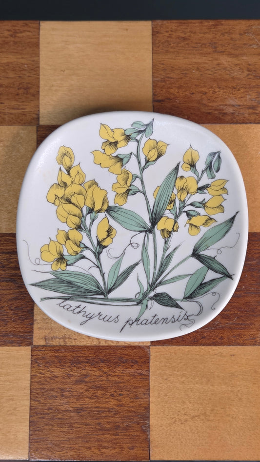 Arabia Botanica koristelautanen, Niittynätkelmä